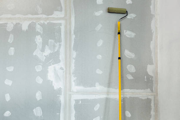 Best Crawl Space Mold Remediation  in Winthrop, MN
