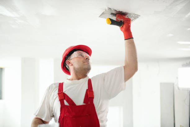 Best Air Quality Testing for Mold Spores  in Winthrop, MN
