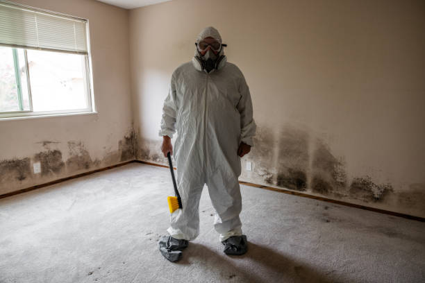 Best Residential Mold Inspection & Testing  in Winthrop, MN
