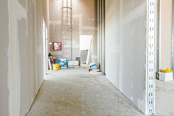 Best Mold Odor Removal Services  in Winthrop, MN