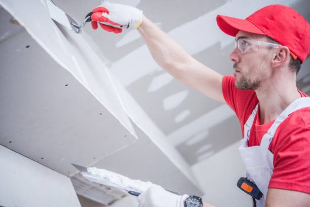 Best Water Damage & Mold Remediation  in Winthrop, MN